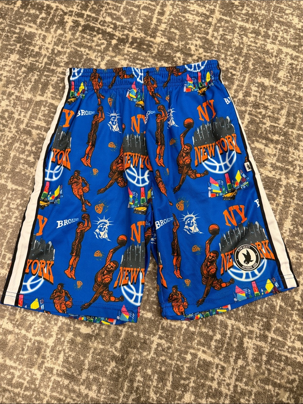 Flow Society New York Basketball Boys Shorts